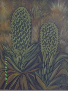 les lobelies dim 50x40 prix 60�