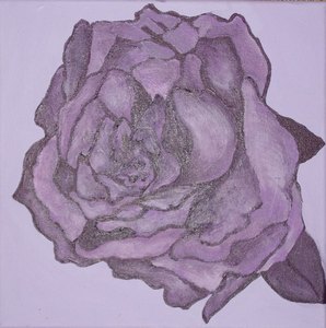 rose parme dim 40x40 non disponible