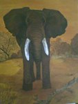 l'&eacute;l&eacute;phant  dim 80x70 vendu
