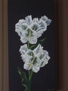 tulipes perroquet dim 60x30 prix 80�