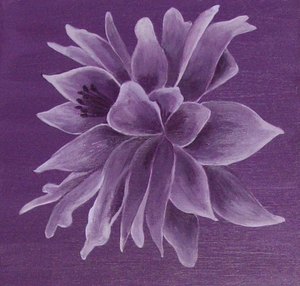 ancolie parme dim 40x40 non disponible