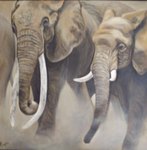 la balade des &eacute;l&eacute;phants dim 100x100 prix 550�